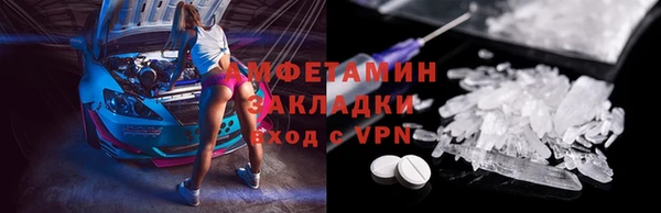 прущие грибы Волоколамск