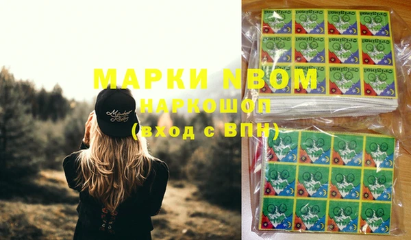 прущие грибы Волоколамск
