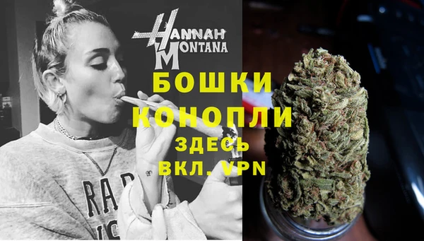 прущие грибы Волоколамск