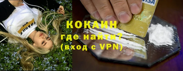 прущие грибы Волоколамск