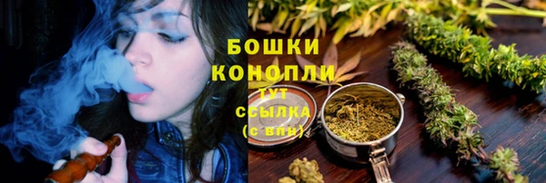 прущие грибы Волоколамск