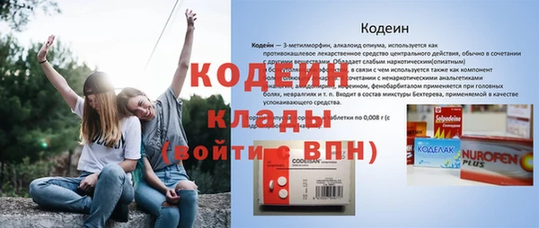 прущие грибы Волоколамск