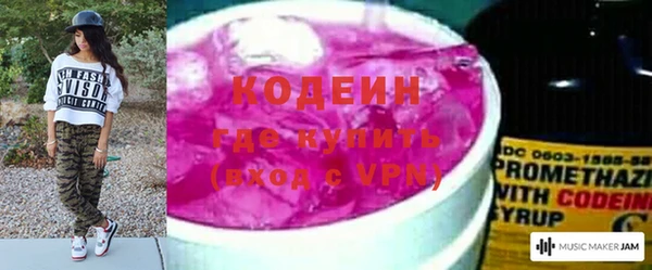 прущие грибы Волоколамск