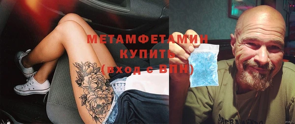 прущие грибы Волоколамск